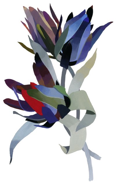 Image inconnue - Unbekannt Unbekannt